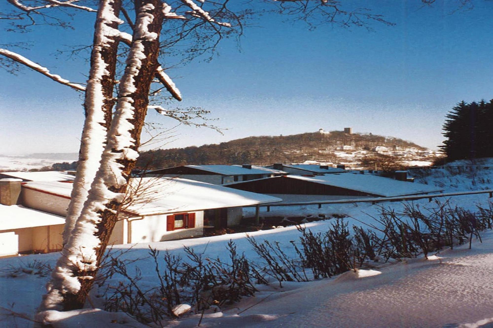 Ferienwohnung Im Ferienpark Falkenstein Falkenstein  Dış mekan fotoğraf